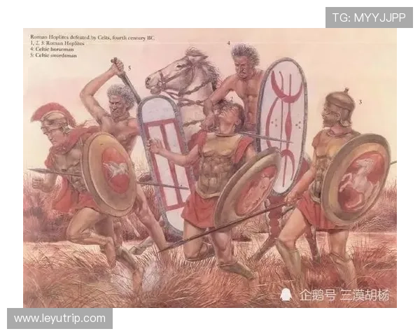 奥利塞战术角色依赖及体系适配性解析